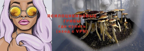 прущий лед Лиски