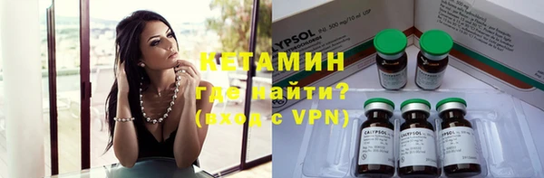 индика Лабытнанги