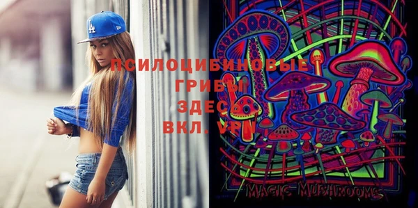 PSILOCYBIN Лихославль