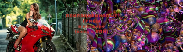PSILOCYBIN Лихославль